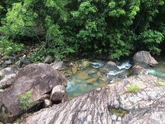 -广州白江湖森林公园