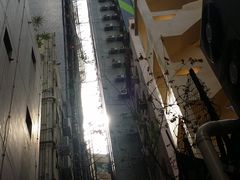 -华星冰室(湾仔店)