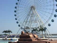 -秦皇岛乐岛海洋王国