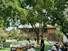 -柠檬花院烤肉·会议团建·聚会·求婚(三圣乡店)