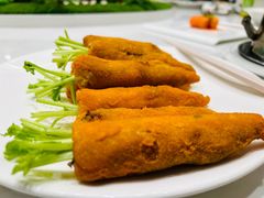 -丁老爷子苏香圆