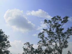 -东郊湿地公园