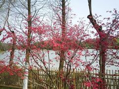 -艾溪湖湿地公园