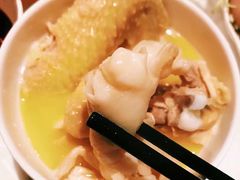 小锅花胶鸡汤-鲜入围煮花胶鸡海鲜火锅