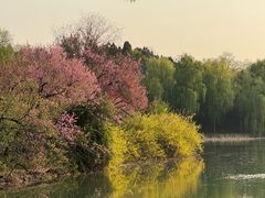 -禹州森林植物园
