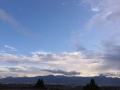 -蘑统田下·野生菌火锅