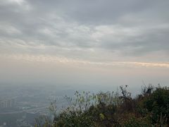 -杭州半山国家森林公园