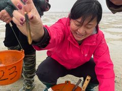 -北海金海湾红树林生态旅游区