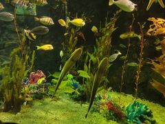 -太平洋海底世界