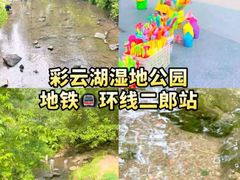 -重庆彩云湖湿地公园