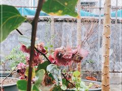 -滨少旺厨(惠福西路店)