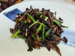 葱爆鸡纵菌-民国红公馆(老门东店)