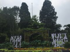 -紫竹院公园冰场