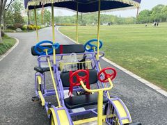 -昆山城市生态森林公园