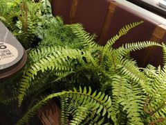 -前海沿·青岛菜(大拇指广场石老人店)