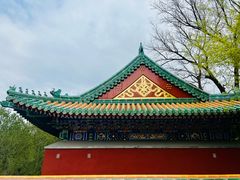 -颐和园