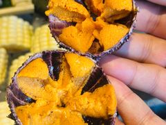 -原志优秀食材·匠心料理·海胆主题(金亿广场店)