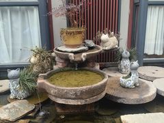 -唐猫庭院·千年陕菜(大唐不夜城店)