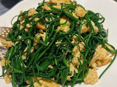 沙葱炒鸡蛋-哈啾嗨·民族特色菜(顺义店)