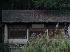-杭州植物园