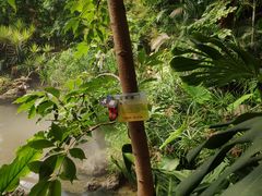 -南通洲际绿博园