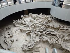 -自贡恐龙博物馆