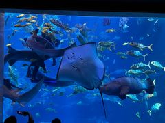 -太平洋海底世界