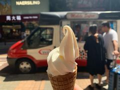 -富豪雪糕车流动点(尖沙咀店)