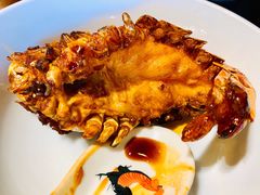 罗氏虾-猪肉婆私房菜(容桂总店)