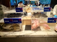 -亚特兰蒂斯-番红花海鲜自助餐厅·鲜活海鲜·小火锅