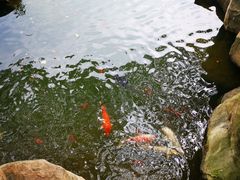 -白马涧龙池景区