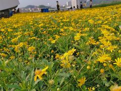 -光明小镇欢乐田园