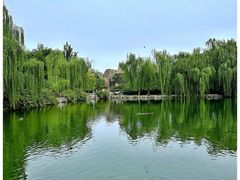 -北京动物园