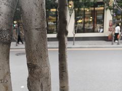 -莫多多餐厅