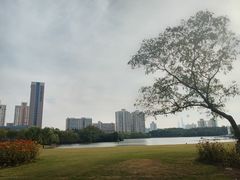 -黄兴公园