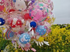 -三圣花乡旅游区