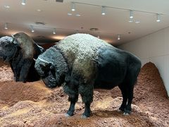 -深圳湾万象城(南山店)