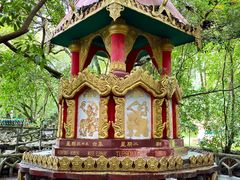 -瑞丽独树成林风景区