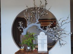 -不凡脑禅境·养生·舒压调理SPA(华发世纪城店)