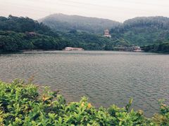 -水濂山森林公园