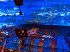 -渔民船说·北塘海鲜·天津菜·海肠捞饭(北塘古镇店)