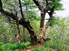 -白草畔自然风景区