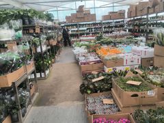 -龙大花卉苗木市场