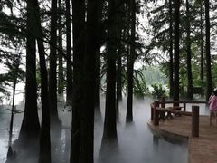 -东湖落雁景区