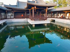 -江心屿景区