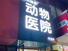 -谐和益家动物医院·免疫绝育·血液透析·宠保定点医院(高新伊藤分院)