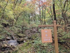 -本溪汤沟绿石谷森林公园