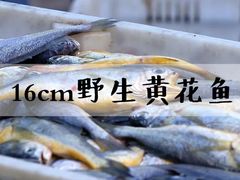 -船歌·鱼水饺青岛菜(金狮广场店)