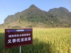 -靖西鹅泉风景区