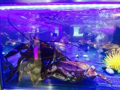 -盒马鲜生(莱蒙都会店)